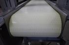 Fusion Tech Single Roller Meat Flattening Conveyor